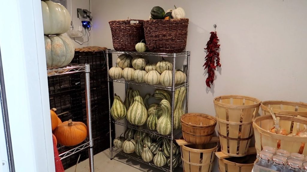 Filling Up Our Root Cellar! 🥔🧅🧄🌶🥕 // Garden Answer