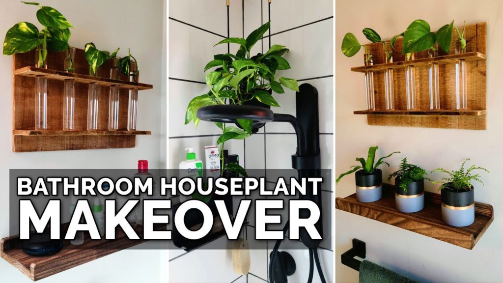 Epic Gardening: Houseplant Makeover for a Small Bathroom! Houseplant Makeover for a Small Bathroom!