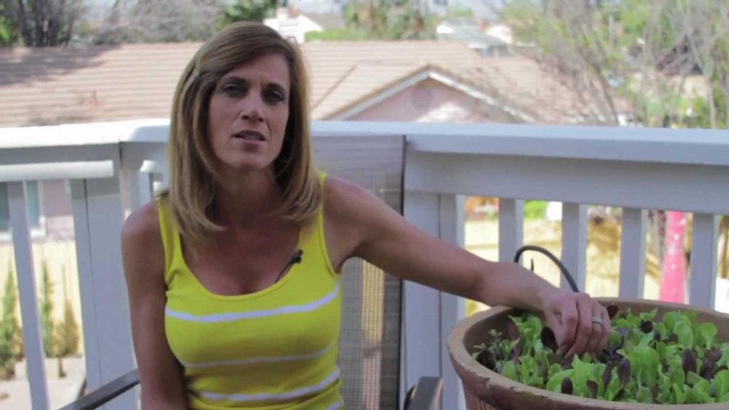 CaliKim: How to Grow Lettuce from Seed Part 2 of 2 How to Grow Lettuce from Seed Part 2 of 2