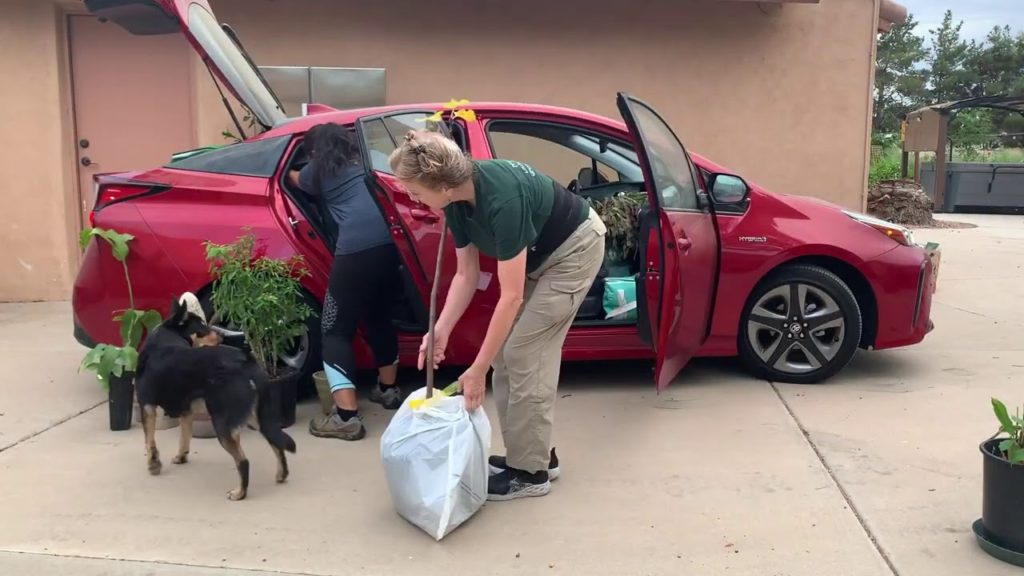 Kaye Kittrell: WATCH how we DID it! Packing the Prius WATCH how we DID it! Packing the Prius