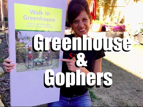 CaliKim: Greenhouse Unboxing & Gophers – HELP! // Livestream (replay) Greenhouse Unboxing & Gophers - HELP! // Livestream (replay)