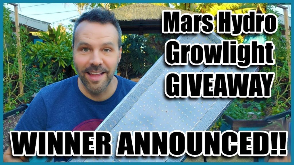 Wind Destroys and Giveaway Winner!