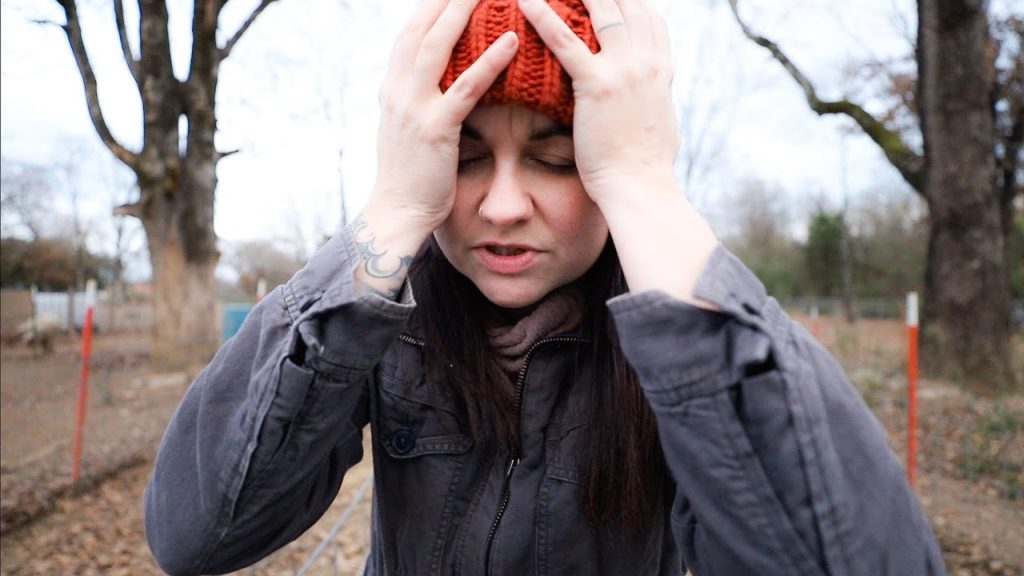 Roots and Refuge Farm: Our First Vet Call on the Farm (Complication with pig birth) | VLOG Our First Vet Call on the Farm (Complication with pig birth) | VLOG