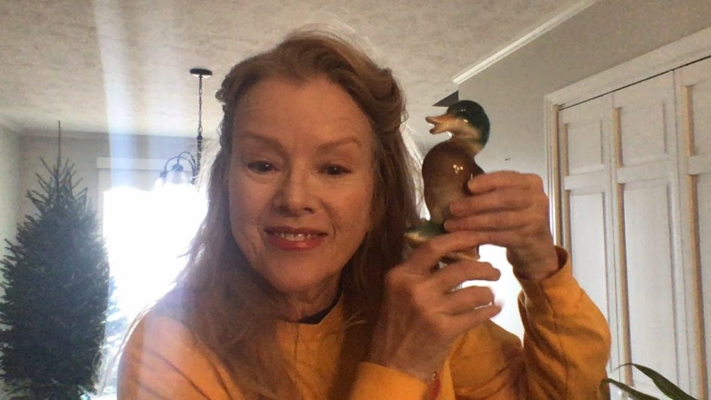 Did I need THESE DUCKS for my Homestead?