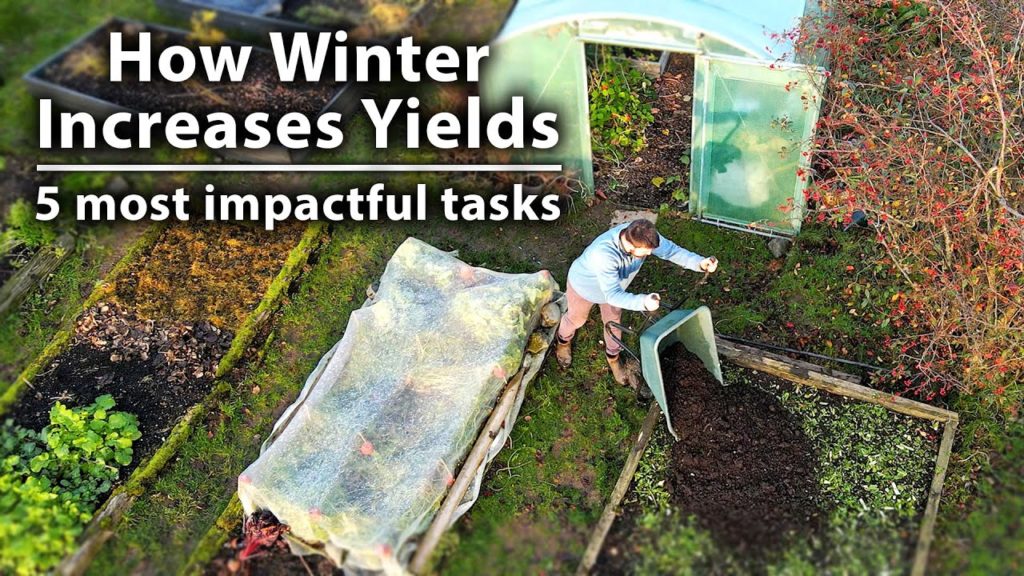 5 Winter Tasks for a Productive Vegetable Garden Next Year | Permaculture Gardening