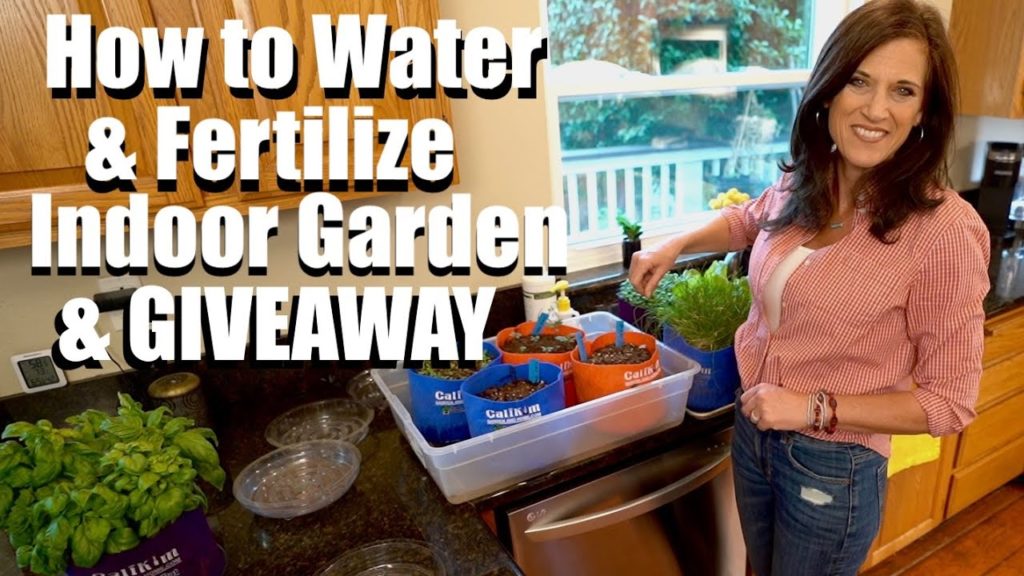 How to Water/Fertilize Indoor Vegetable Garden, GIVEAWAY & A Peek at My Indoor Grow Light Set Up 🥬 🍅