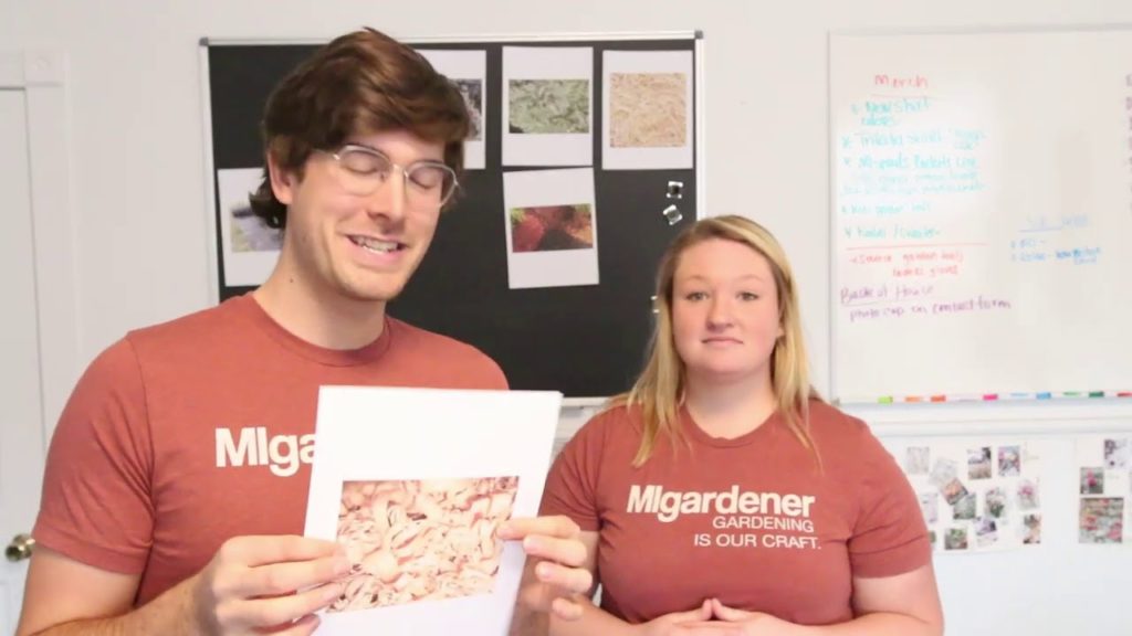 MIgardener: Master Gardeners RANK Every Kind of Mulch Master Gardeners RANK Every Kind of Mulch