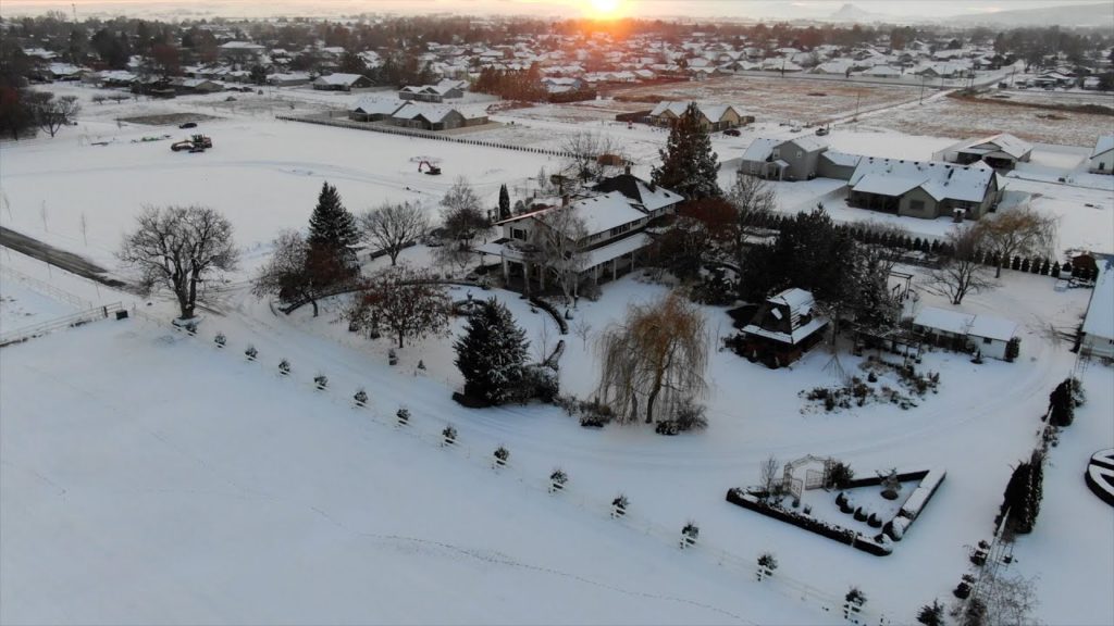 Garden Answer: Peaceful Snowy Garden Tour ❄️ // Garden Answer Peaceful Snowy Garden Tour ❄️ // Garden Answer