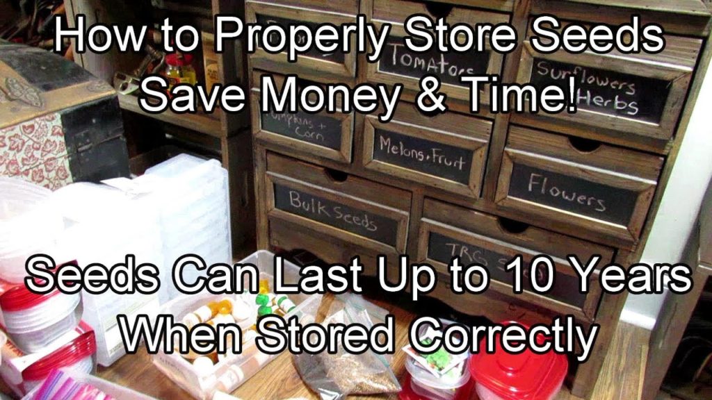 How to Organize & Store Seeds Properly and Save Money - They Can last 3+ Years: Two Minute TRG Tips