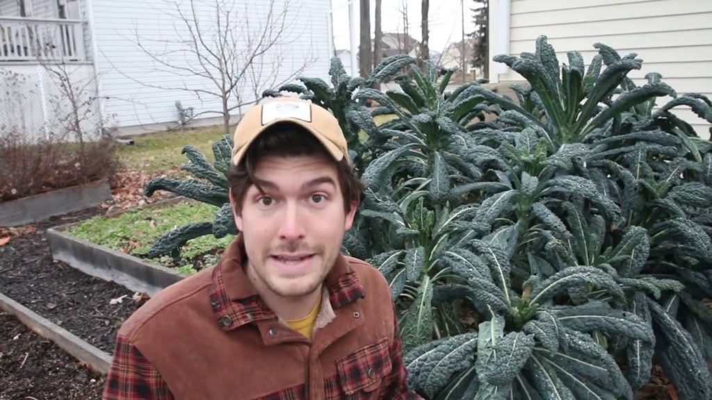 Don’t Put off Getting These 5 CRITICAL Things For The Garden