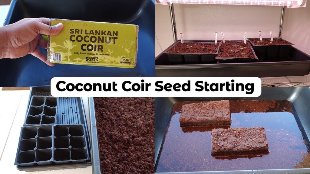 Coconut Coir Seed Starting Mix - Sri Lankan Coco Coir
