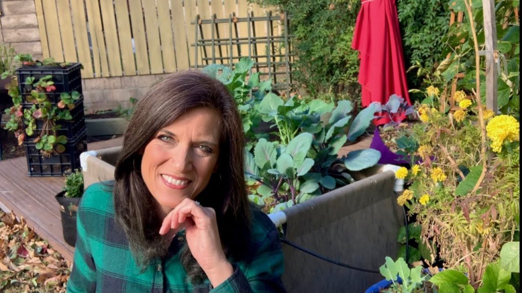 CaliKim: 🍅LIVE: Garden Lessons I Learned in 2020 (REPLAY) 🍅LIVE: Garden Lessons I Learned in 2020 (REPLAY)