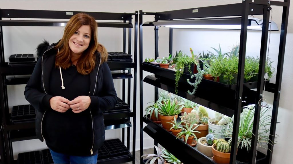 Garden Answer: A Tour of Our Grow Lights! 🌿💡👩🌾 // Garden Answer A Tour of Our Grow Lights! 🌿💡👩🌾 // Garden Answer