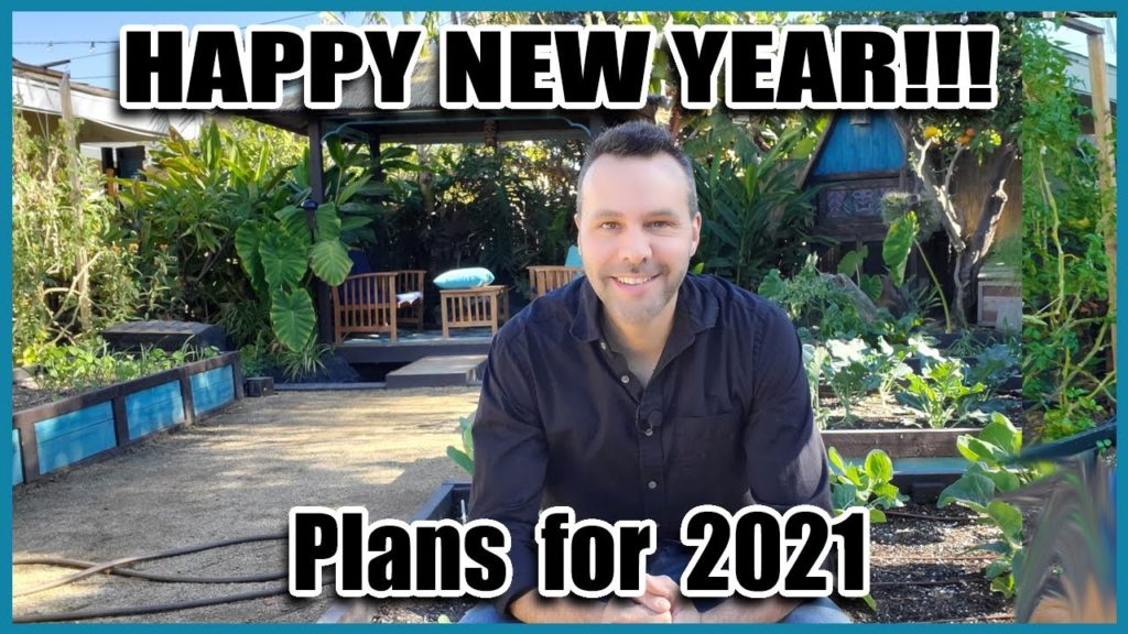Happy New Year -- Plans for 2021
