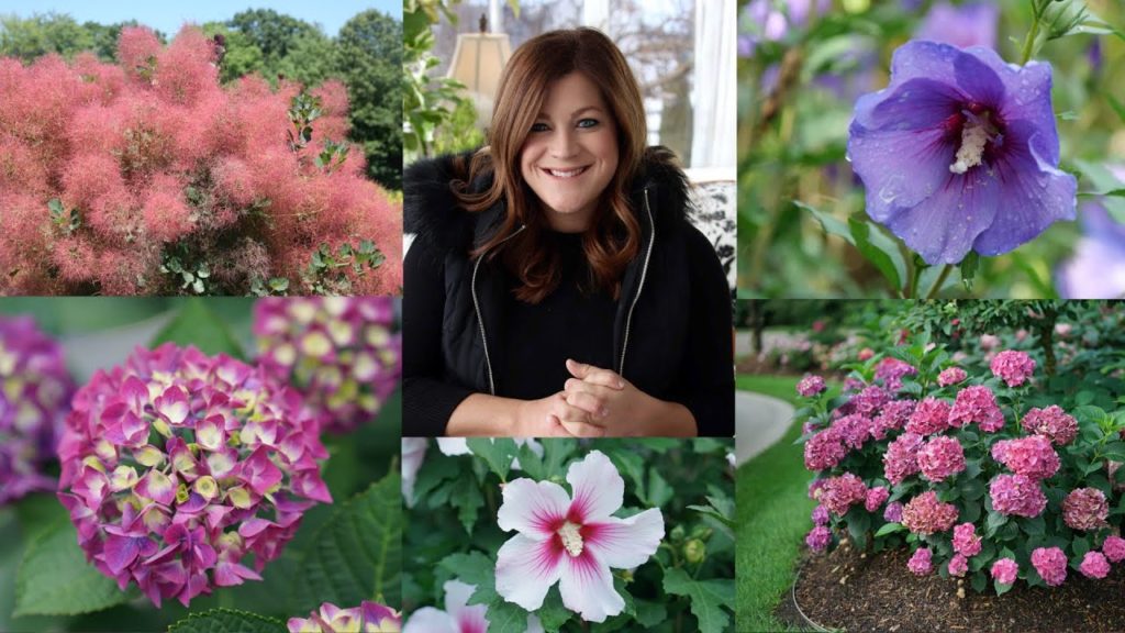 Garden Answer: New Shrubs for 2021! 🌿🌲🌸 // Garden Answer New Shrubs for 2021! 🌿🌲🌸 // Garden Answer
