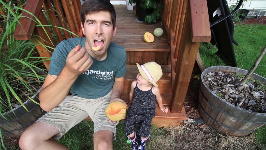 Harvesting and Tasting Our Very First Cantaloupe!