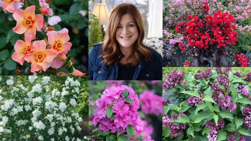New Shrubs for 2021! (Part 2) 🌿🌲🌸// Garden Answer