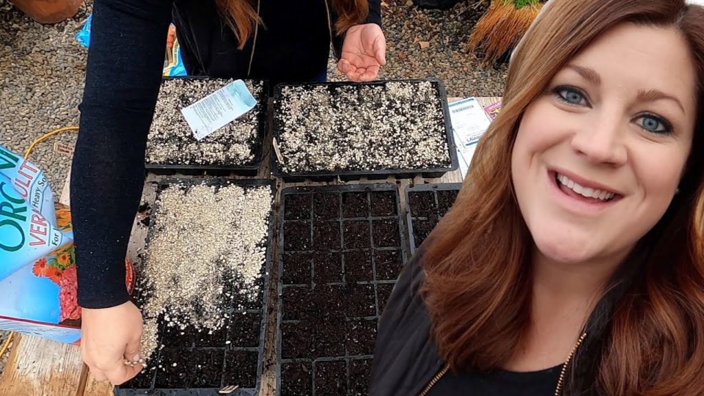 Garden Answer: Cut Flower Garden Seed Starting Begins + How I Organize When to Start Seeds! 🌿💚 // Garden Answer Cut Flower Garden Seed Starting Begins + How I Organize When to Start Seeds! 🌿💚 // Garden Answer