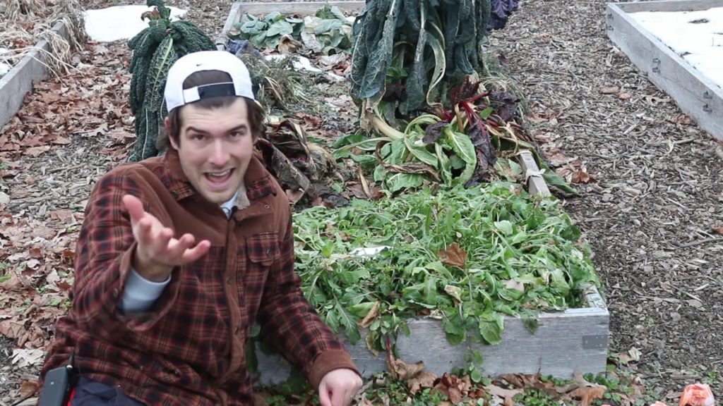 I Was SHOCKED When I Discovered How Cold Hardy These Crops Where