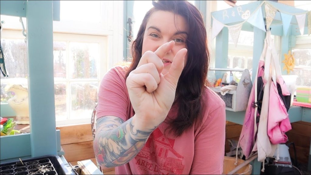 Starting seeds in the Window Greenhouse (Slowly After Being Sick) | VLOG