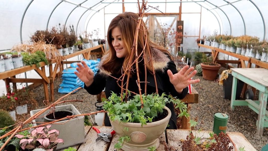 Garden Answer: 2 Houseplant Arrangements 🌿🥰 // Garden Answer 2 Houseplant Arrangements 🌿🥰 // Garden Answer