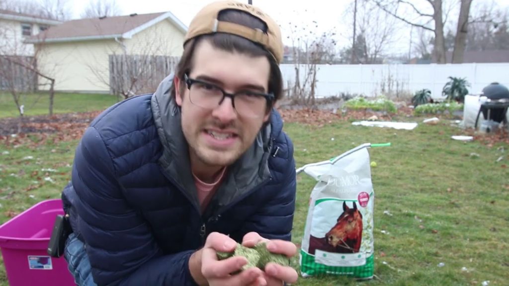 This CHEAP Animal Feed Fertilizes Your Garden & Builds Soil