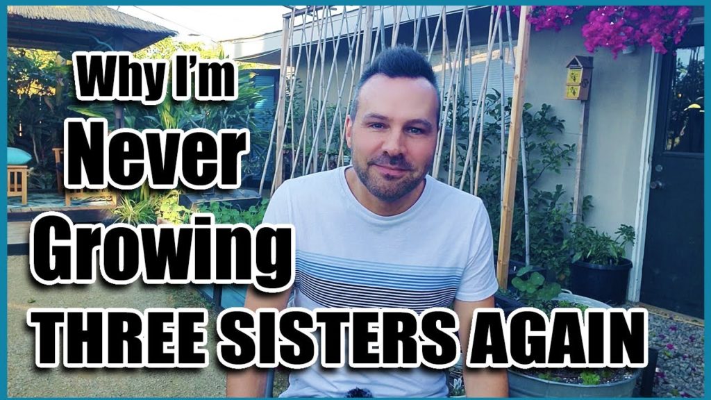 Why I'm not growing a THREE SISTERS GARDEN "EVER" AGAIN!!!