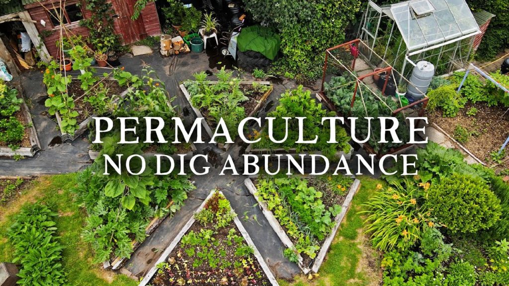 Huw Richards: Beautiful No Dig Permaculture Kitchen Garden | Small-Scale Potager Style Vegetable Garden Beautiful No Dig Permaculture Kitchen Garden | Small-Scale Potager Style Vegetable Garden