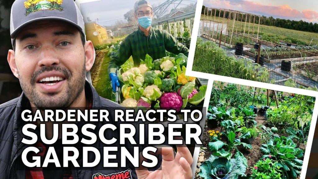 Gardener Reacts to Subscriber Gardens! 👀🌱🌿