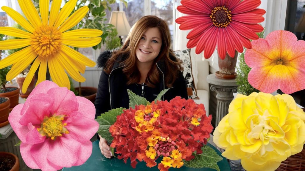 Garden Answer: New Annuals for 2021! 🌸🌺🌿 // Garden Answer New Annuals for 2021! 🌸🌺🌿 // Garden Answer