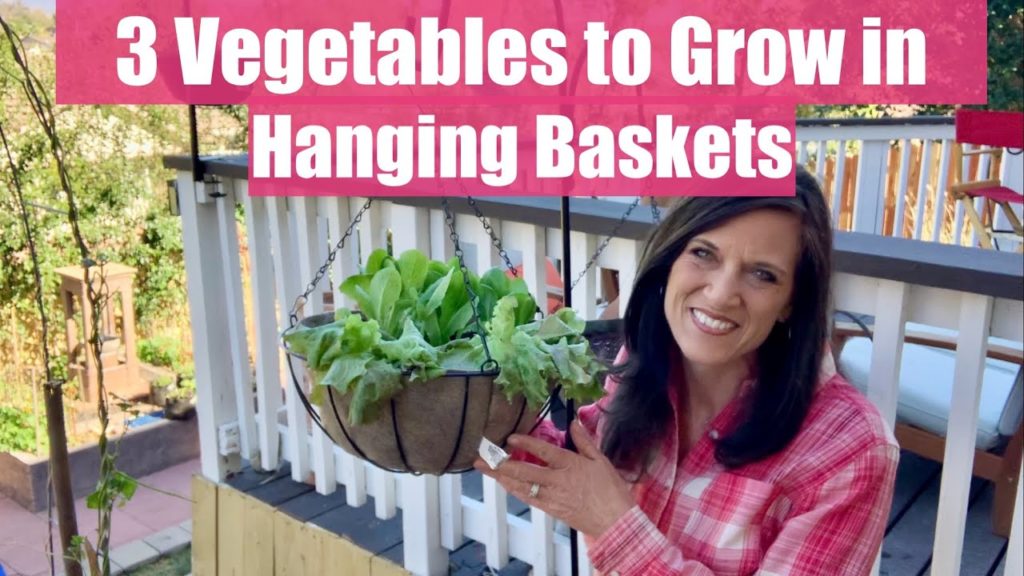 3 Vegetables Easy to Grow in Hanging Baskets 🥒☀️🥬
