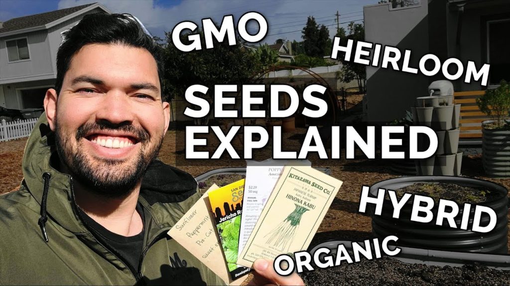 Epic Gardening: SEEDS EXPLAINED: Heirloom, Hybrid, Organic, and GMO Seeds 🌰 SEEDS EXPLAINED: Heirloom, Hybrid, Organic, and GMO Seeds 🌰