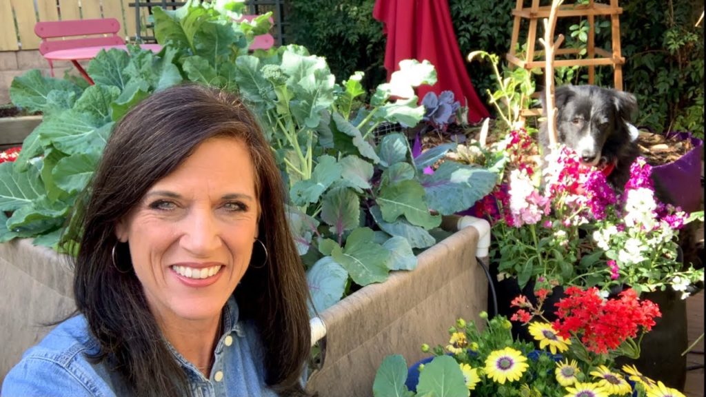 🍅LIVE: 6 Seed Starting Mistakes to Avoid and How to Fix Them