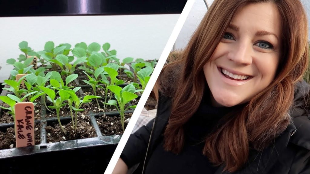 Touching Base & Checking on Seedlings! 🥰❤️ // Garden Answer