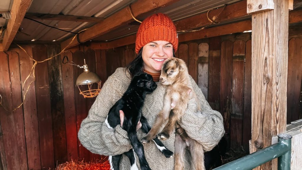 Roots and Refuge Farm: Surprise GOAT BABIES! (Kidding 2021 has BEGUN) | VLOG Surprise GOAT BABIES! (Kidding 2021 has BEGUN) | VLOG