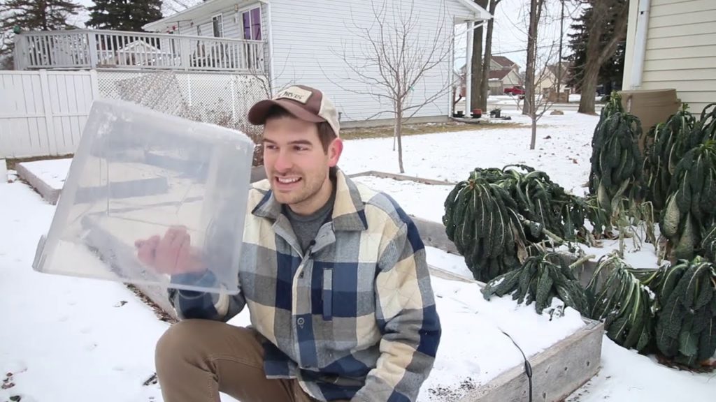 MIgardener: Start Your Seeds Outside in WINTER With This Method (winter sowing) Start Your Seeds Outside in WINTER With This Method (winter sowing)