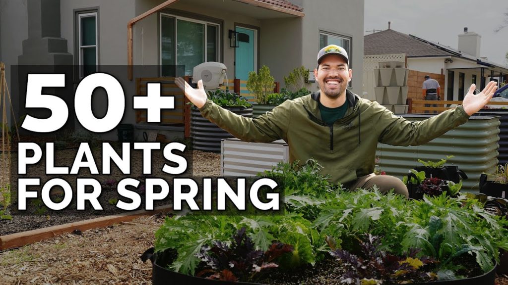 Epic Gardening: 50+ Plants I'm Growing In My Spring Garden ๐ฑ ๐ท ๐ฅ 50+ Plants I'm Growing In My Spring Garden ๐ฑ ๐ท ๐ฅ