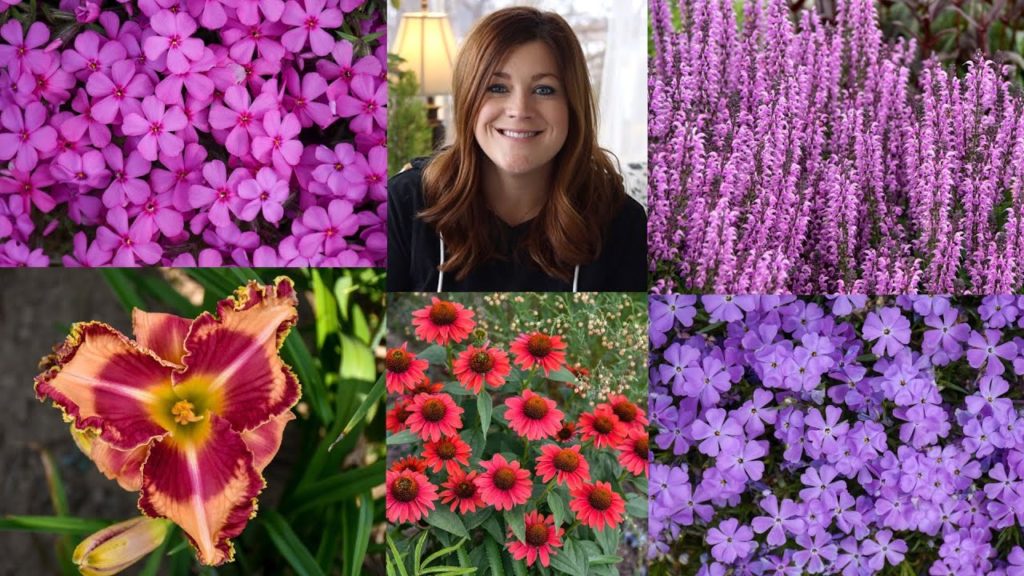 Garden Answer: New Perennials for 2021! 🌿🌸 // Garden Answer New Perennials for 2021! 🌿🌸 // Garden Answer
