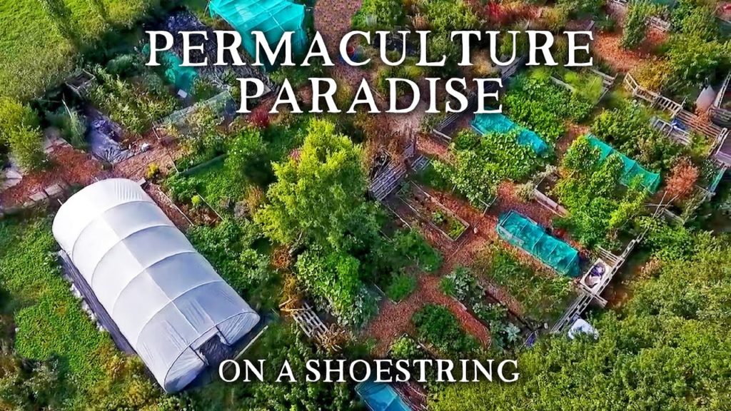 Huw Richards: Hugely Inspring Small-Scale Permaculture Homestead | 85% Self-Sufficient on Under an Acre Hugely Inspring Small-Scale Permaculture Homestead | 85% Self-Sufficient on Under an Acre