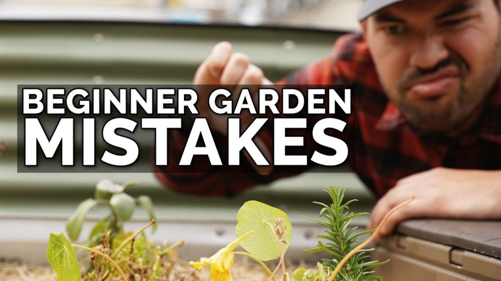 Epic Gardening: 9 Beginner Gardening Mistakes to Avoid 😱 ❌ 9 Beginner Gardening Mistakes to Avoid 😱 ❌