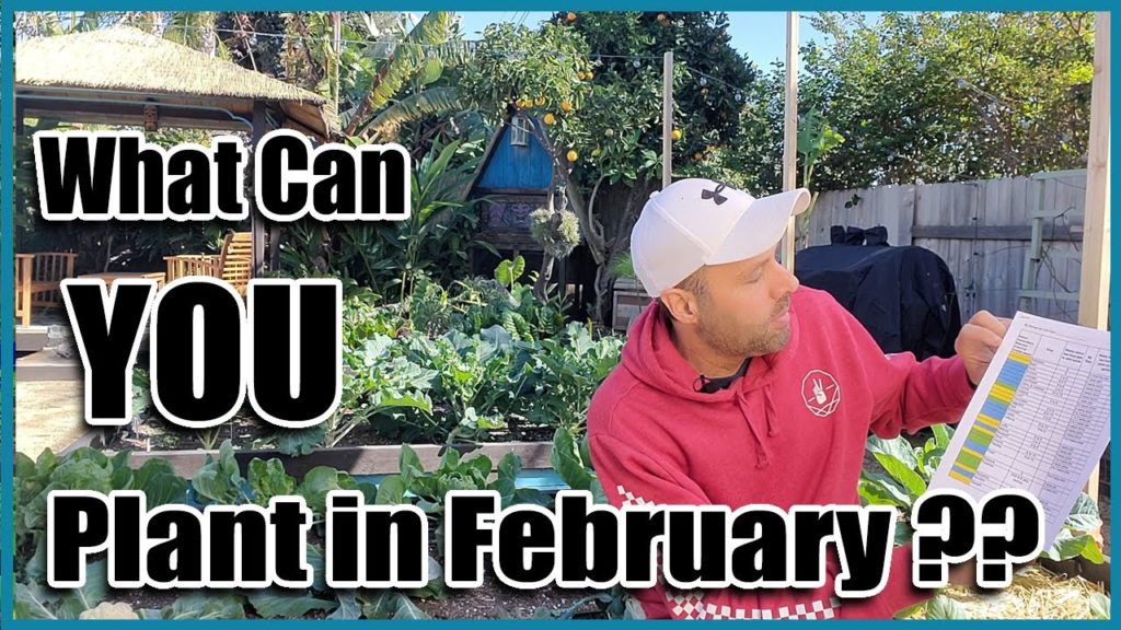 What Can You Plant in February in Your Area?
