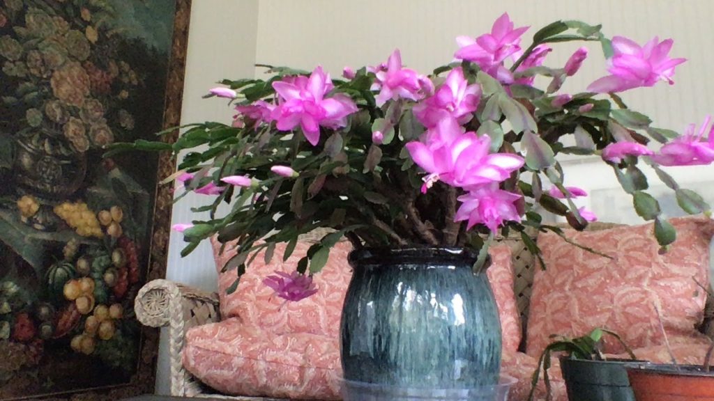 Taking a MUCH NEEDED Day off!