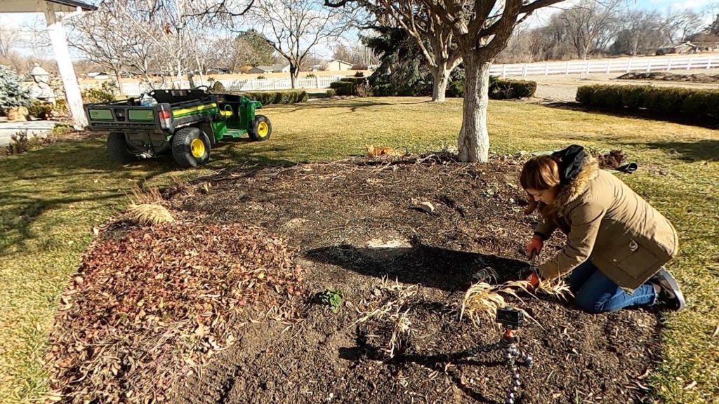 Transplanting a Few Perennials! 🌿💚 // Garden Answer