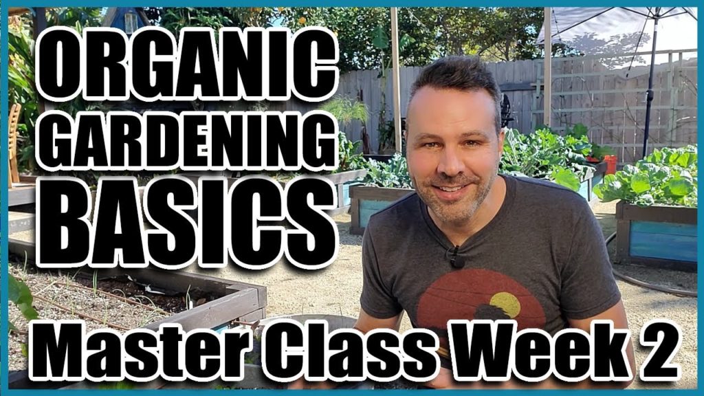 Organic Gardening For Beginners - Episode 2