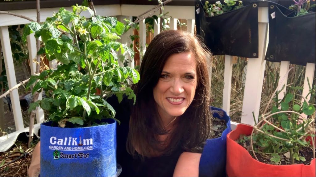🍅LIVE: 4 Container Gardening Mistakes NOT to Make (REPLAY)