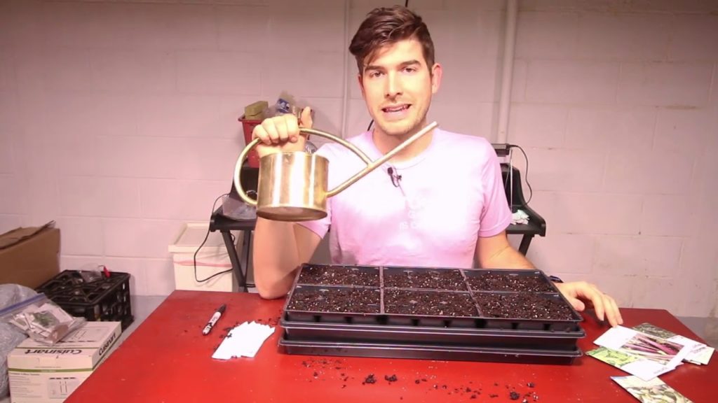 MIgardener: 8 Most Common Seed Starting Mistakes (FINALLY Starting Seeds) 8 Most Common Seed Starting Mistakes (FINALLY Starting Seeds)
