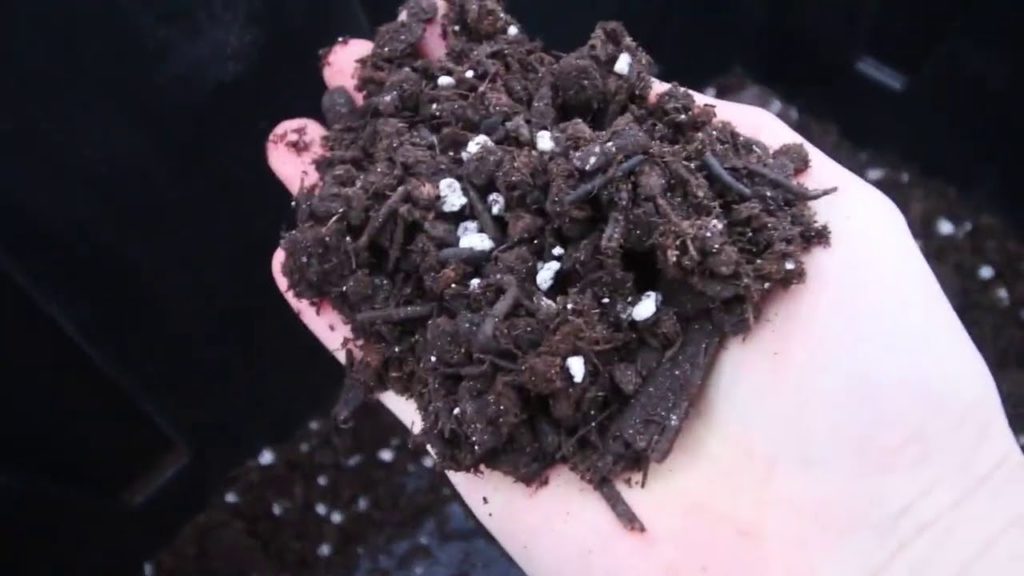 How to Turn Low Quality Seed Starting Mix Into The HIGHEST Quality With 1 Simple Step