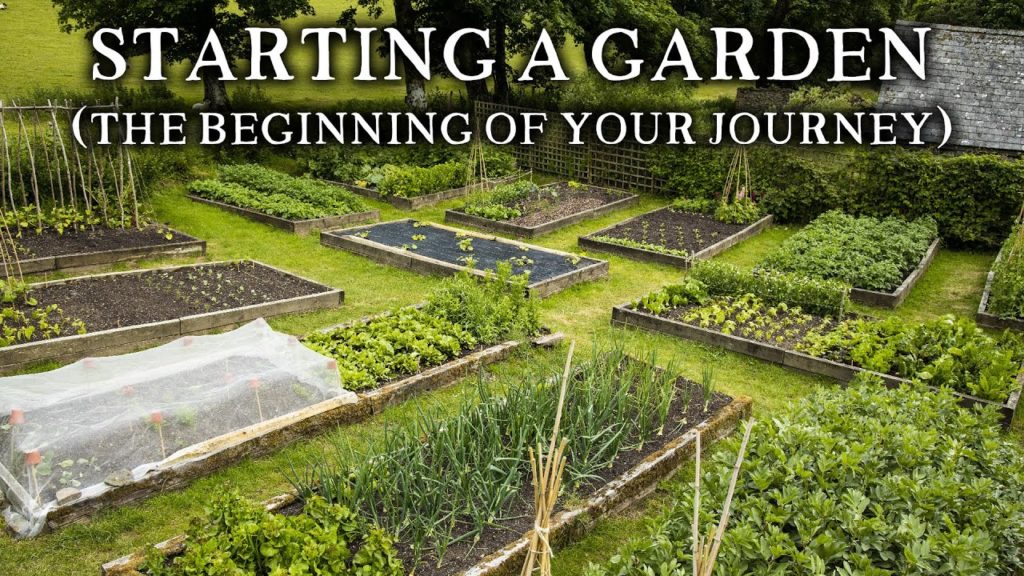Huw Richards: Vegetable Gardening | Straight Talk for People Starting to Grow Food Vegetable Gardening | Straight Talk for People Starting to Grow Food