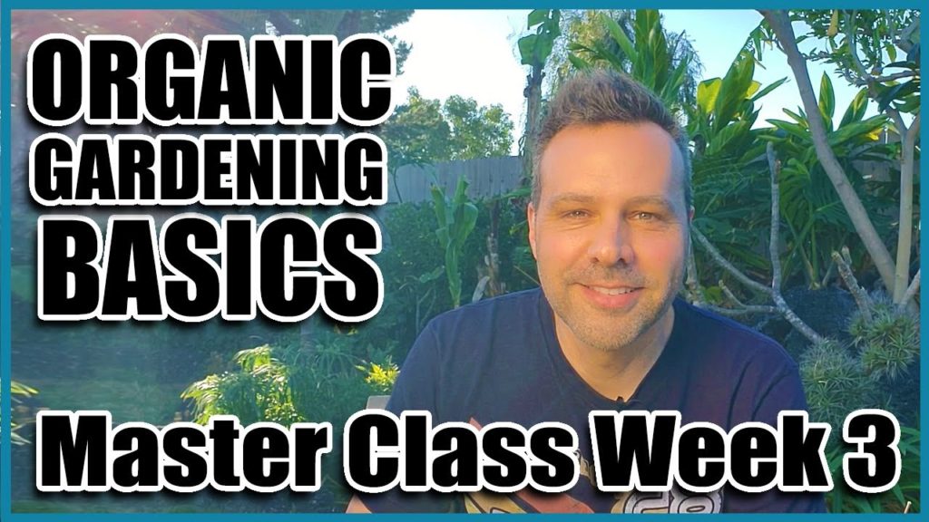 Organic Gardening Basics Part 3 0f 4
