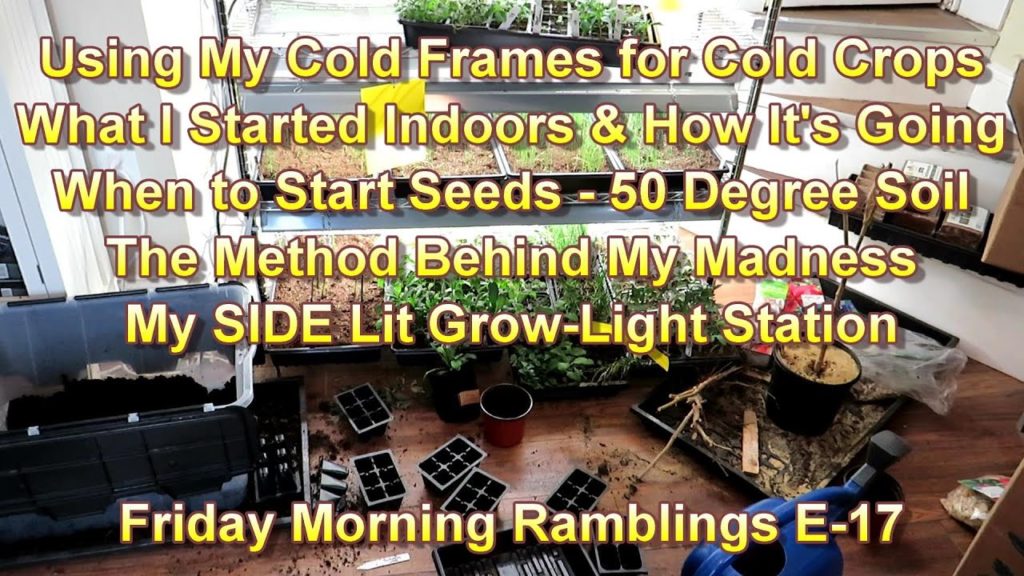 Using My Cold Frames, What I Started, Method Behind My Madness,  Updates: FM Garden Ramblings  E-17